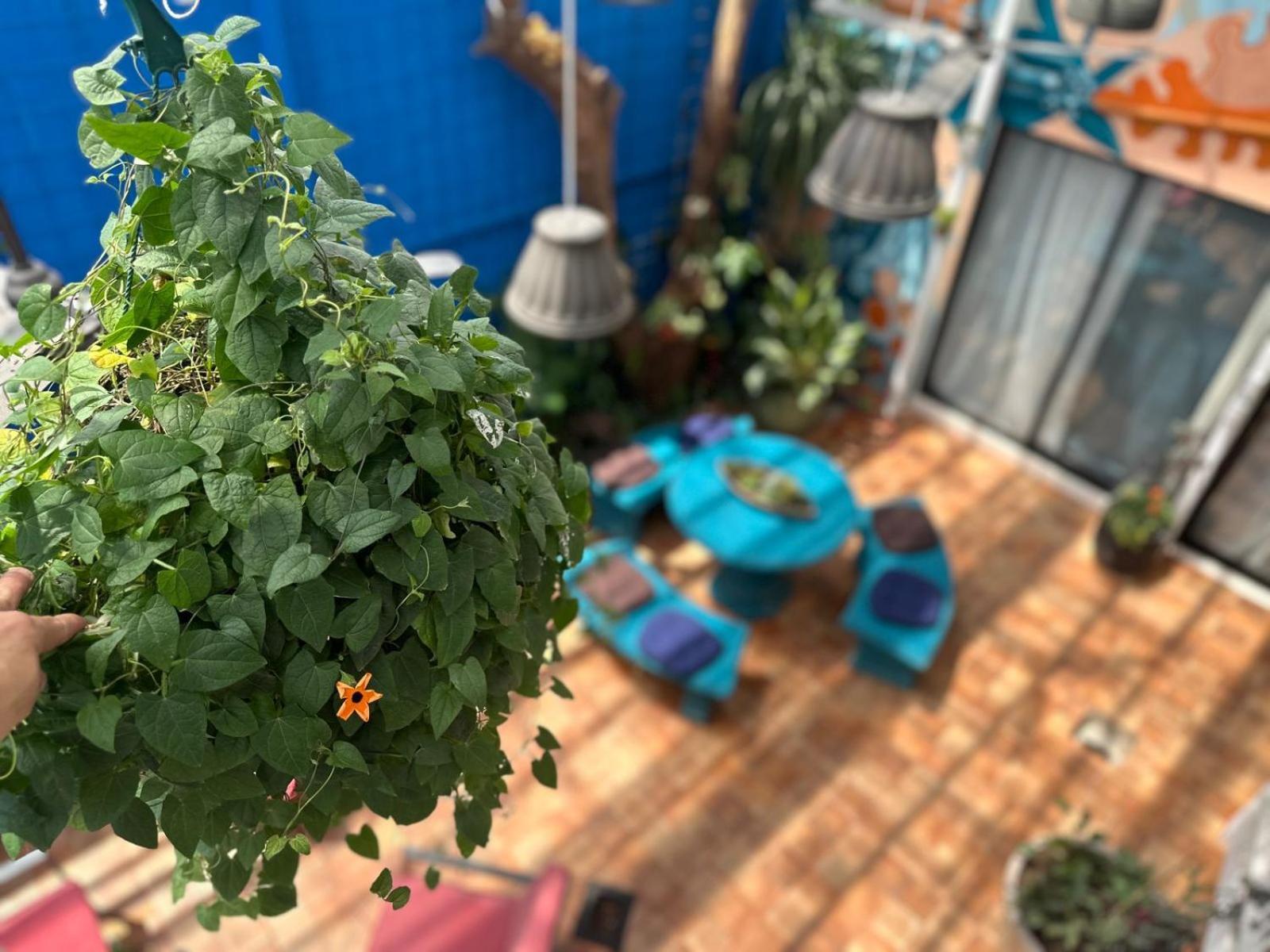 Jungla Urbana, Bnb Pavas Exterior photo