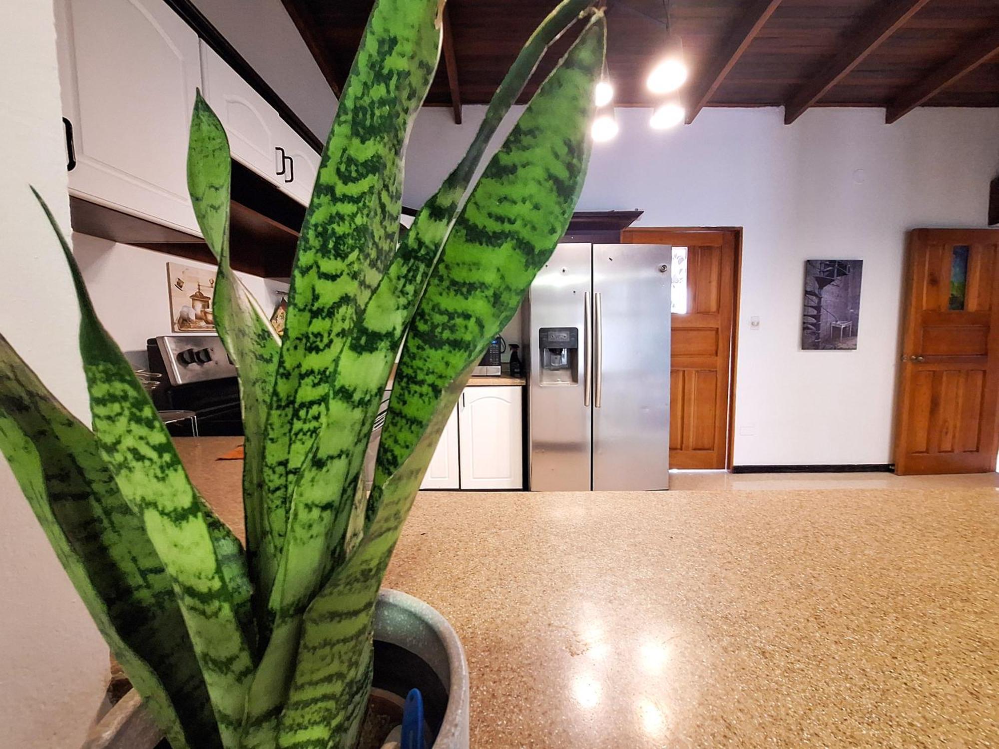 Jungla Urbana, Bnb Pavas Exterior photo