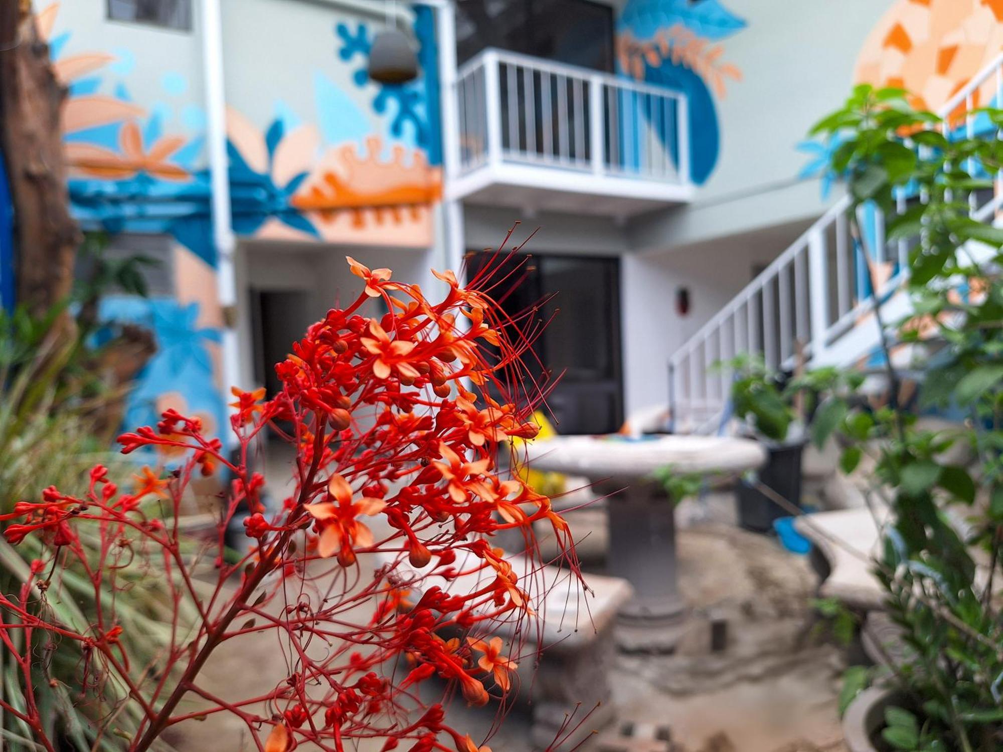 Jungla Urbana, Bnb Pavas Exterior photo